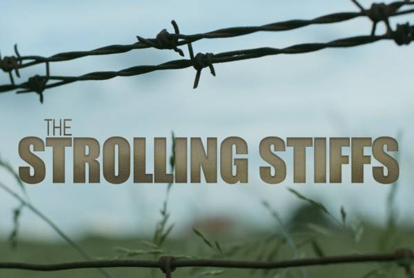 Free 3D LUT | “The Strolling Stiffs”