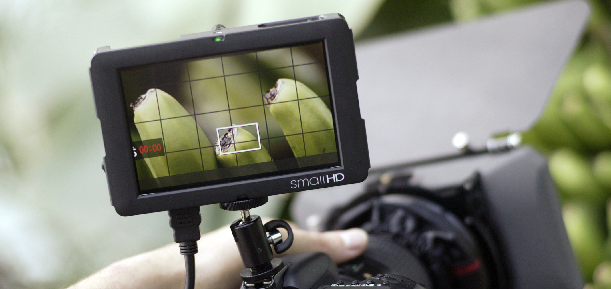 SmallHD DP6